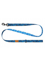 RC Pets Eco Leash
