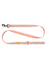 RC Pets Eco Leash
