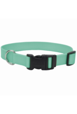 Coastal Pet Products Adj. Collar w/Plastic Buckle Teal 3/8x8-12"