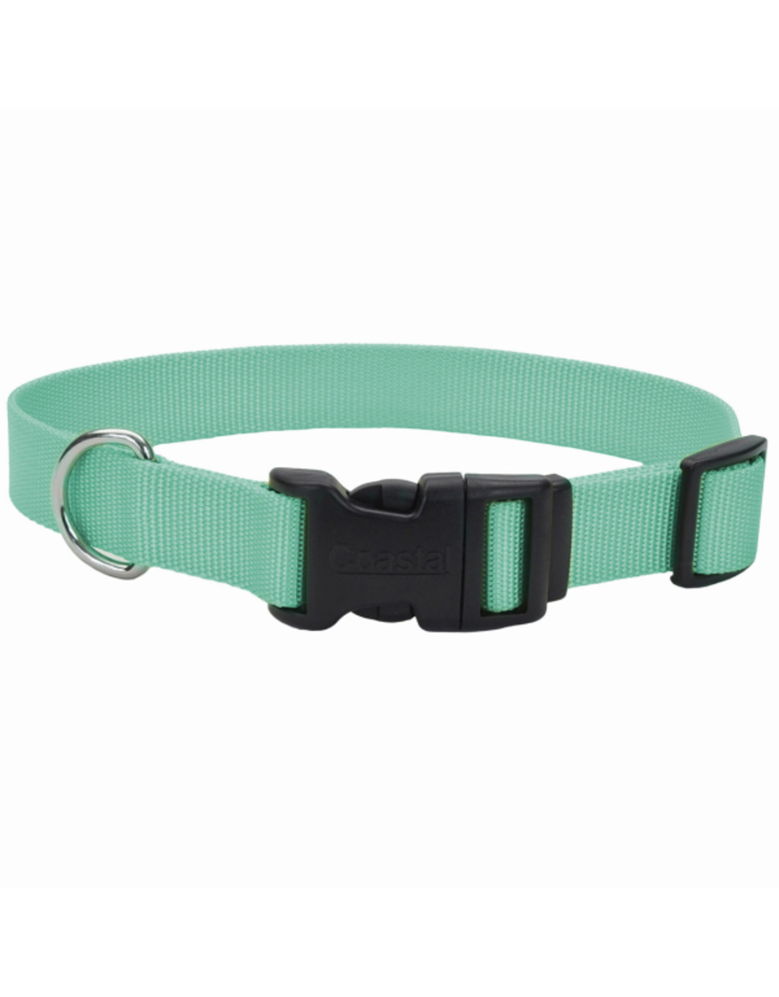 Coastal Pet Products Adj. Collar w/Plastic Buckle Teal 3/8x8-12"