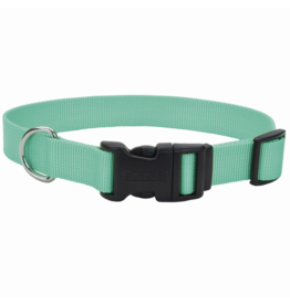 Coastal Pet Products Adj. Collar w/Plastic Buckle Teal 3/8x8-12"