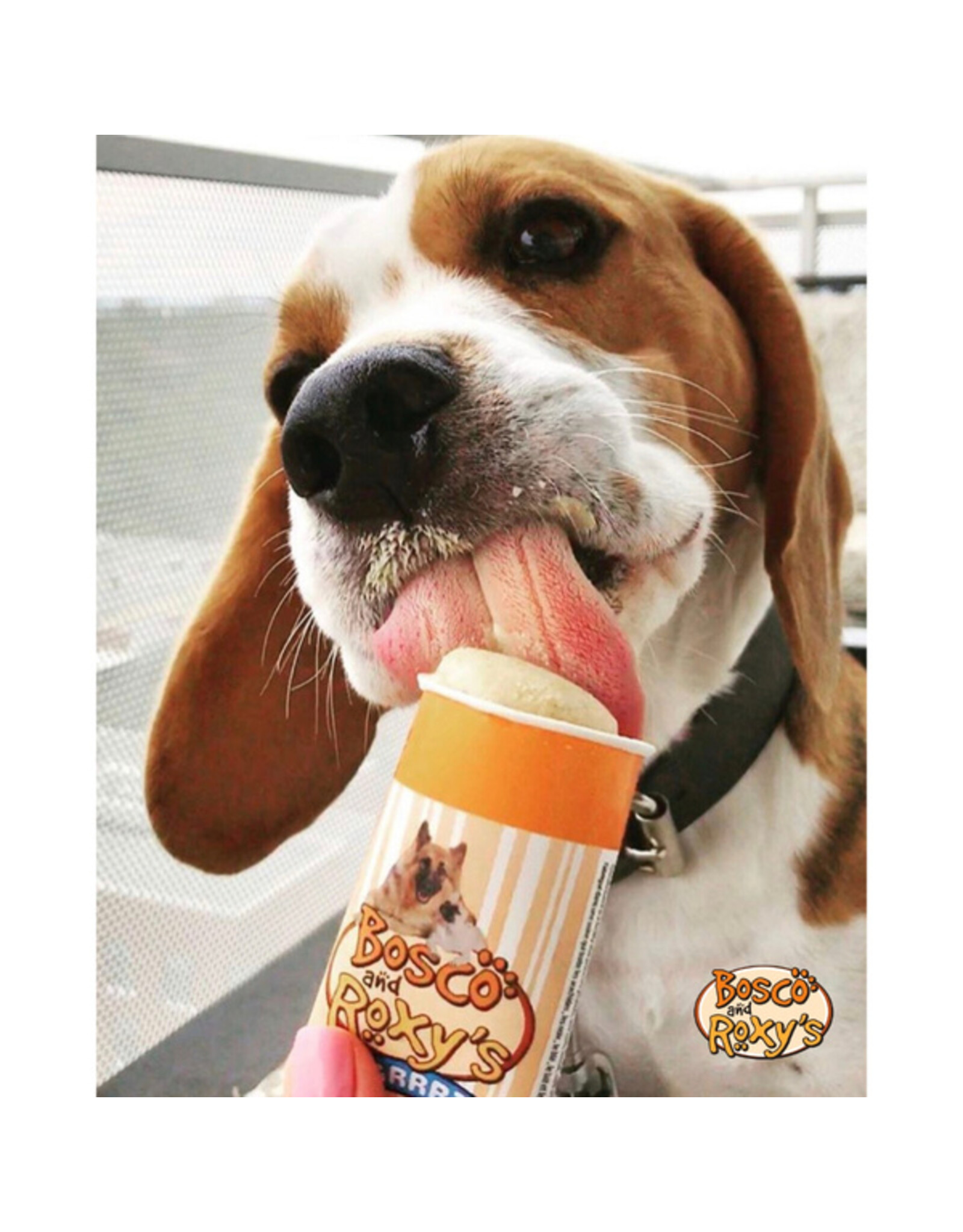 Bosco & Roxys Frozen Yogrrrz Peanut Butter 2.82oz