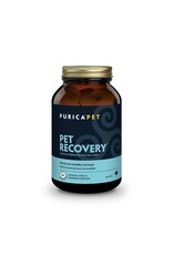 Purica Pet Recovery Extra Strength Chews 60PK