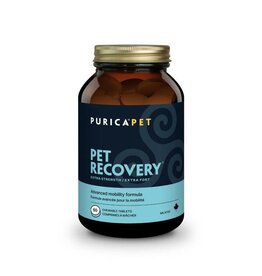 Purica Pet Recovery Extra Strength Chews 60PK Purica Pet Recovery Extra Strength Chews 60PK
