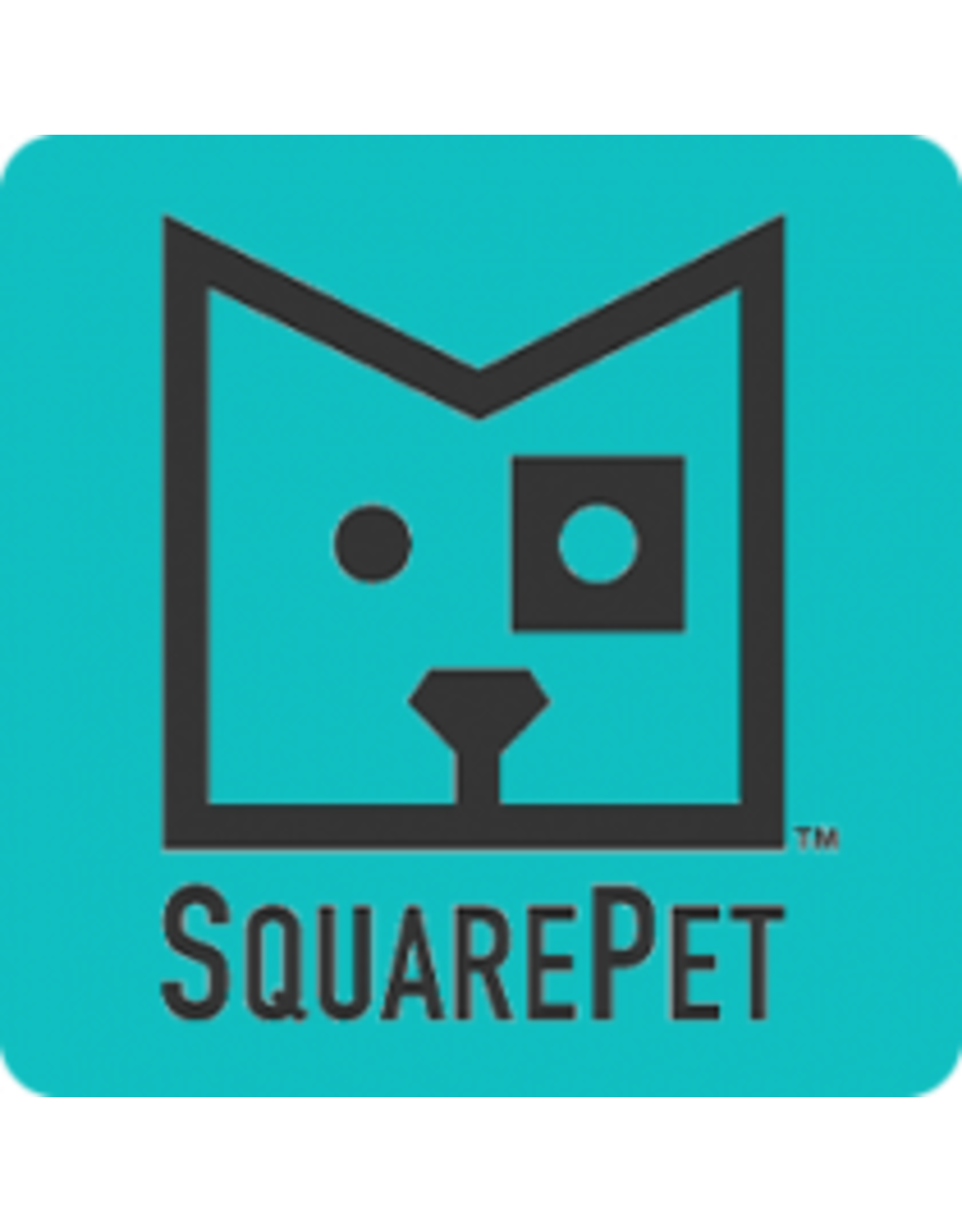 SquarePet Dog Low Fat Formula Treat 170g