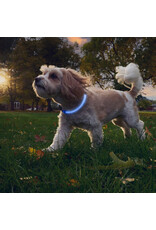 Nite Ize NiteHowl Rechargeable LED Collar