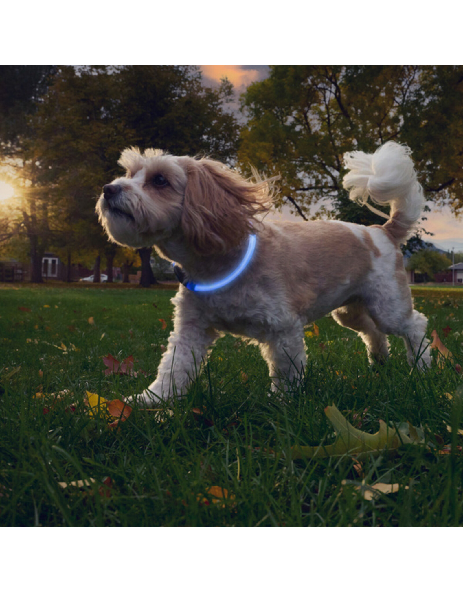 Nite Ize NiteHowl Rechargeable LED Collar