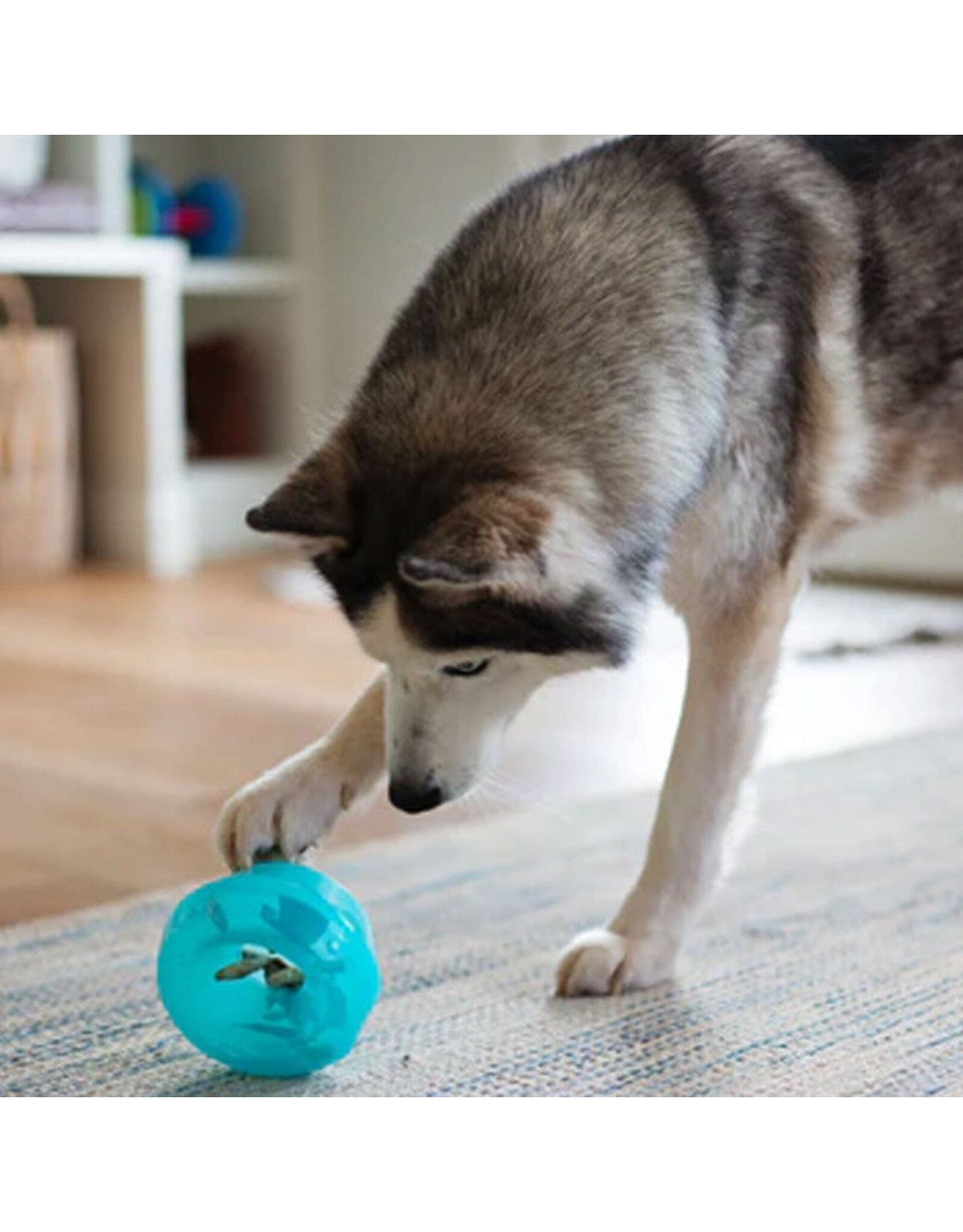 Totally Pooched Stuff'n Wobble Ball