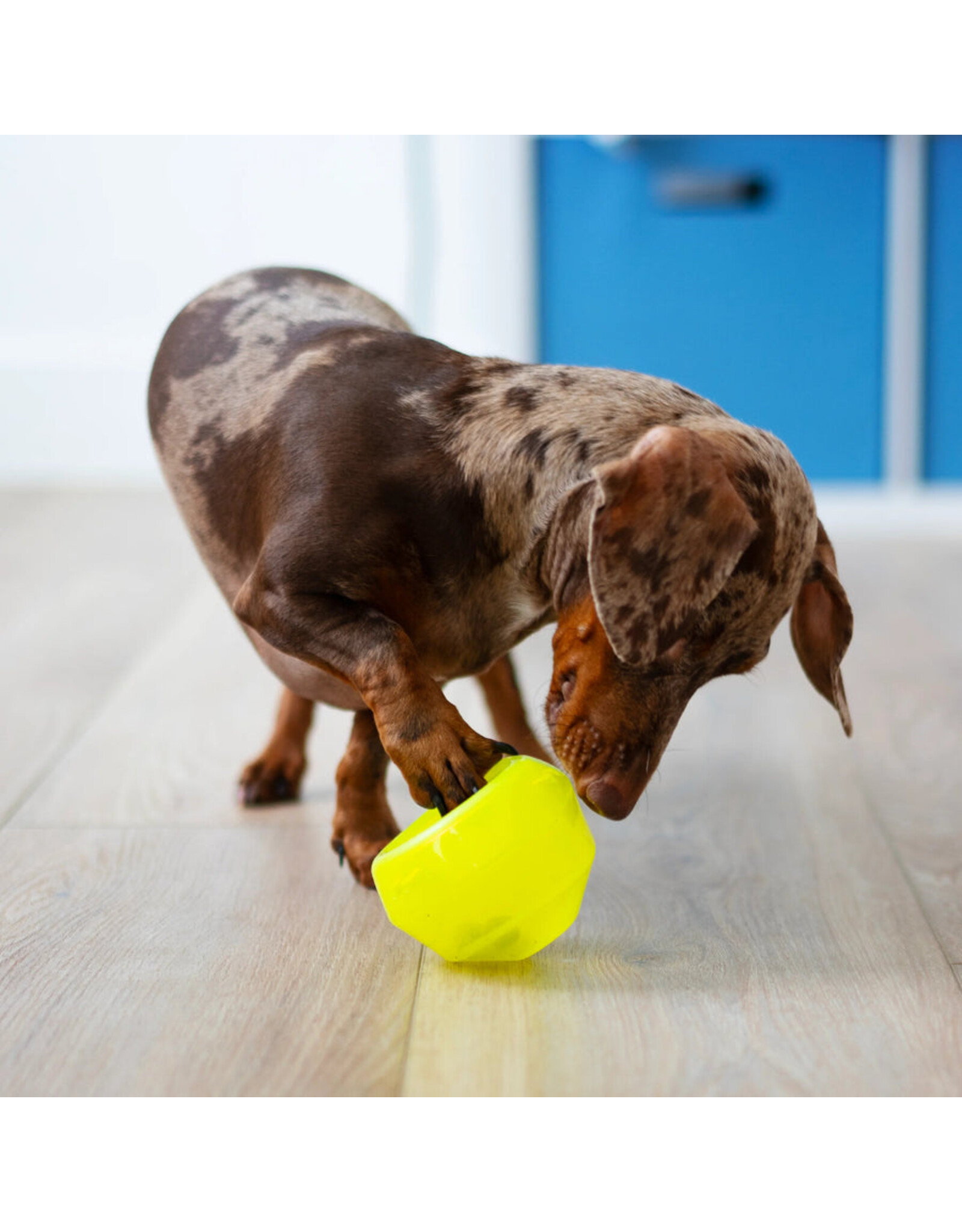 Totally Pooched Stuff'n Wobble Ball