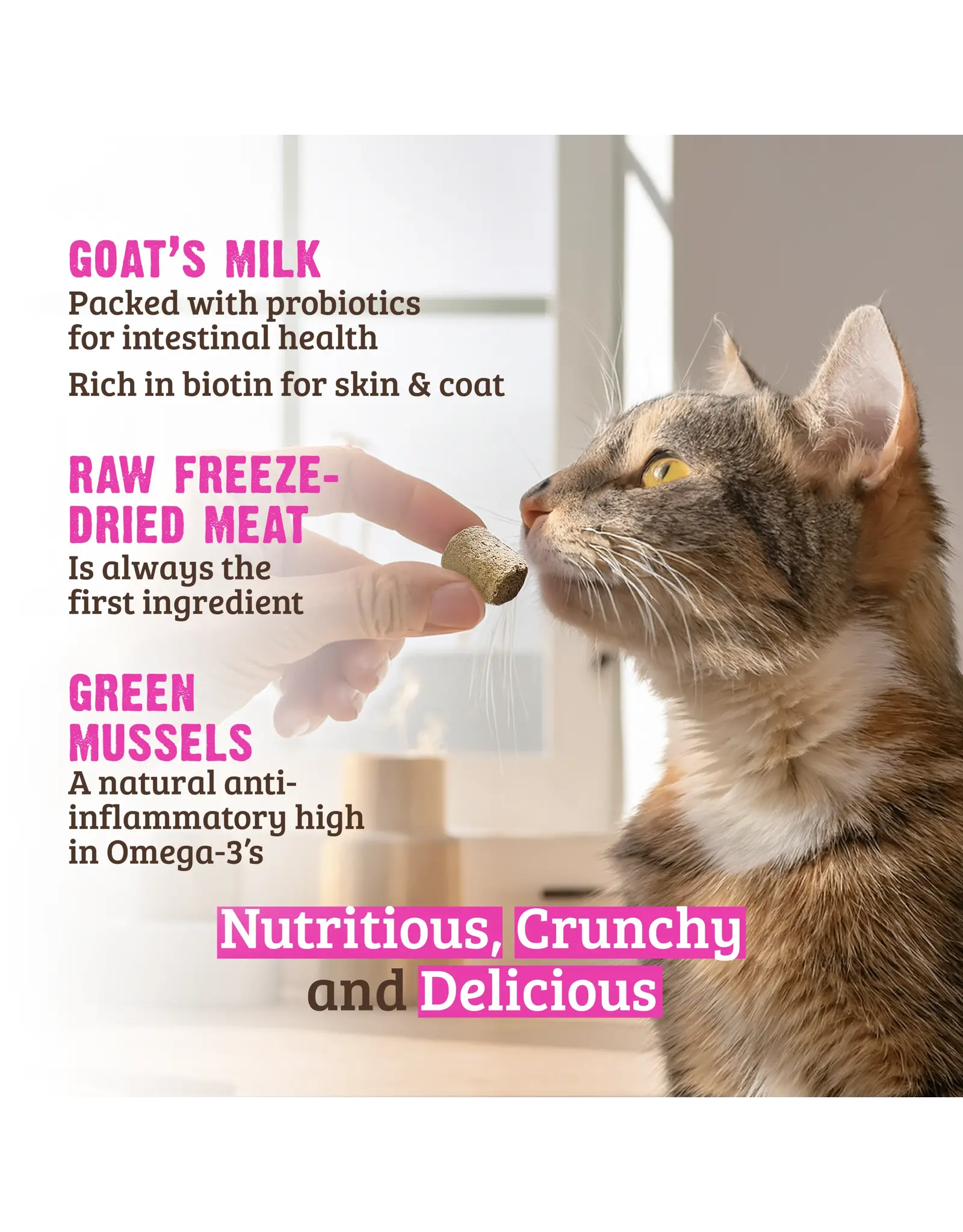 Rawz Goat's Milk Freeze Dried Treat