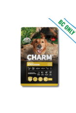 Charm Dog