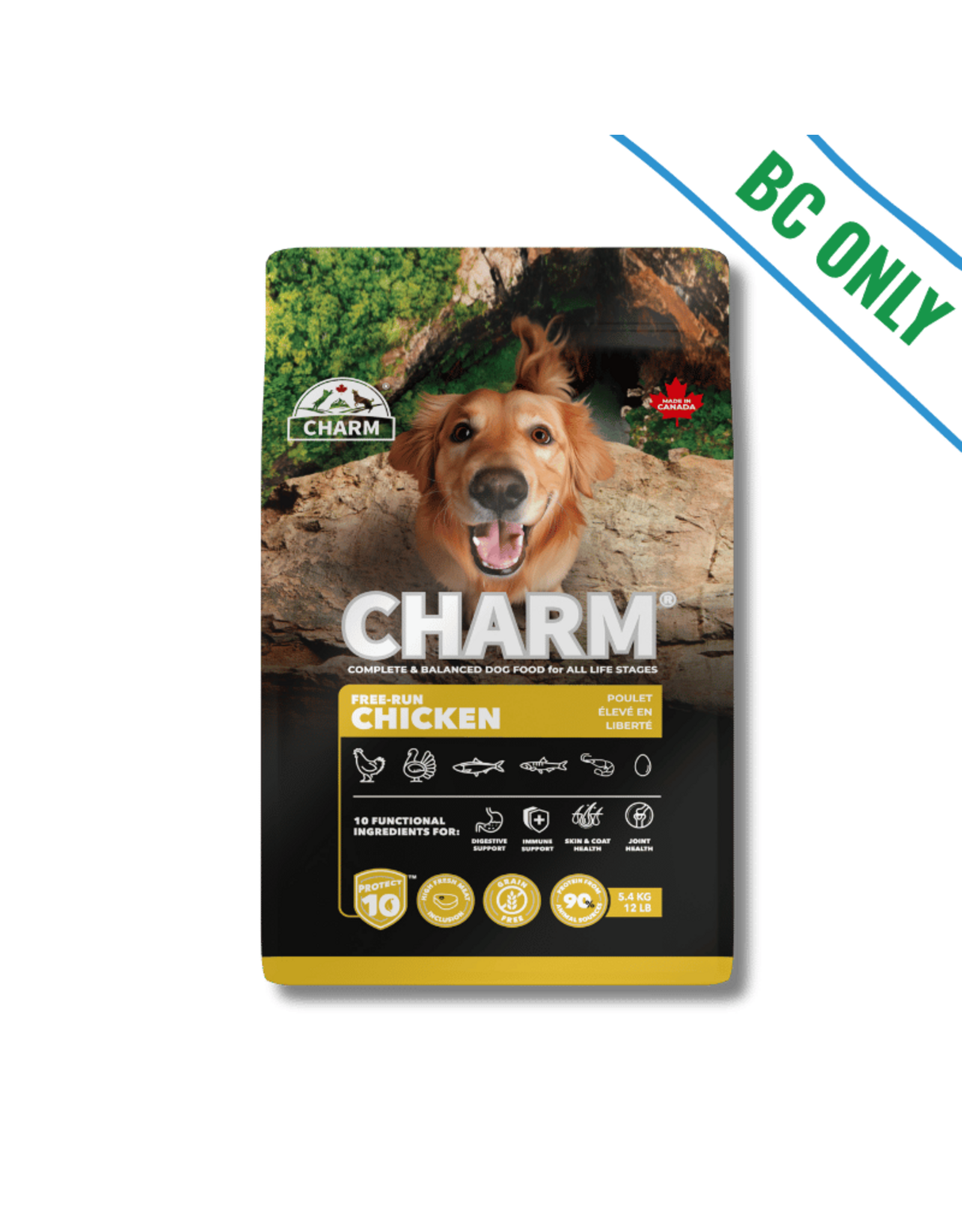 Charm Dog