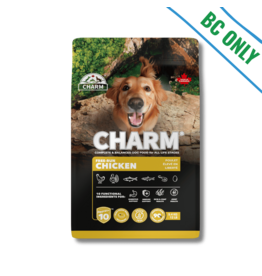 Charm Dog Charm Dog