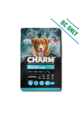 Charm Dog