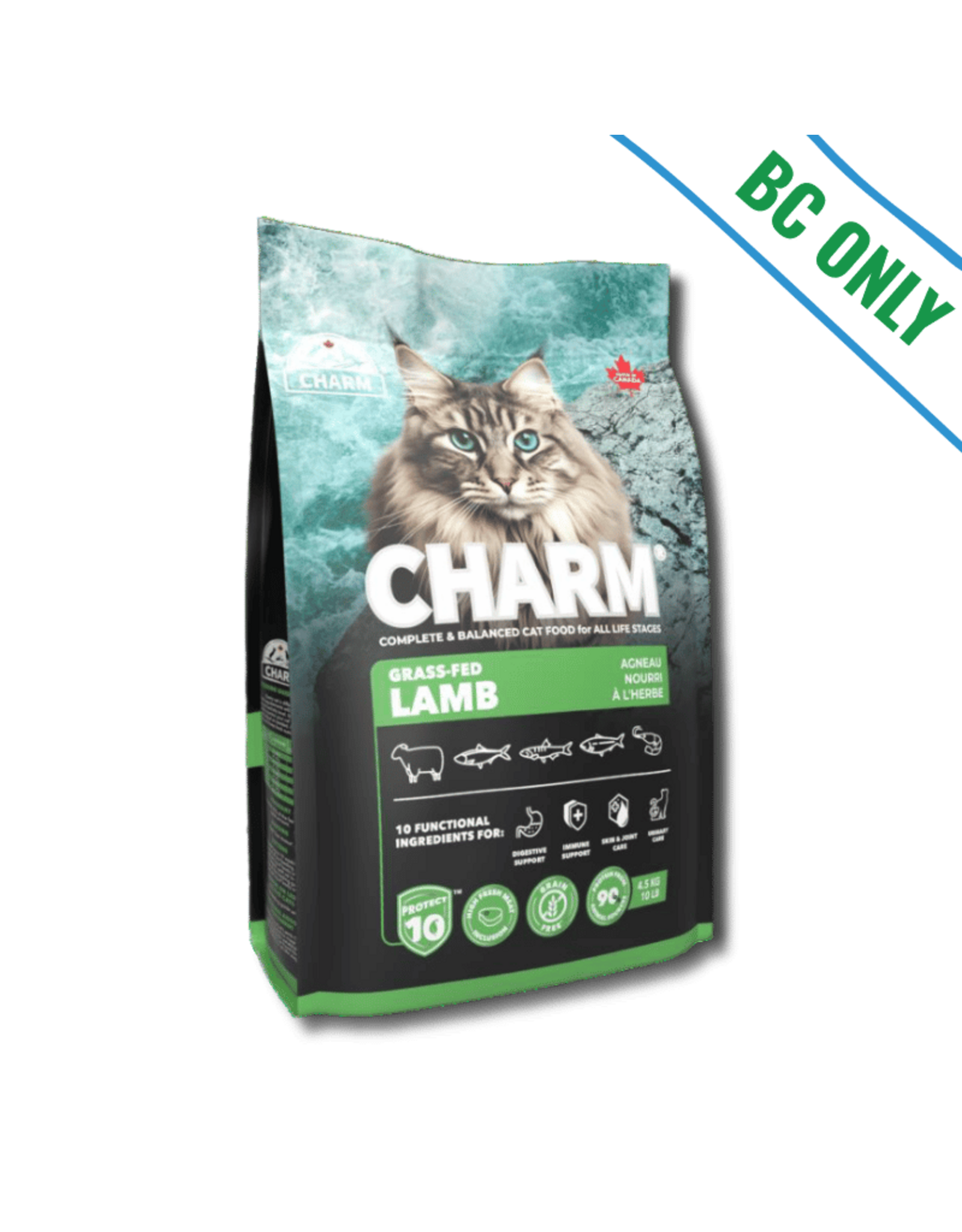 Charm Cat