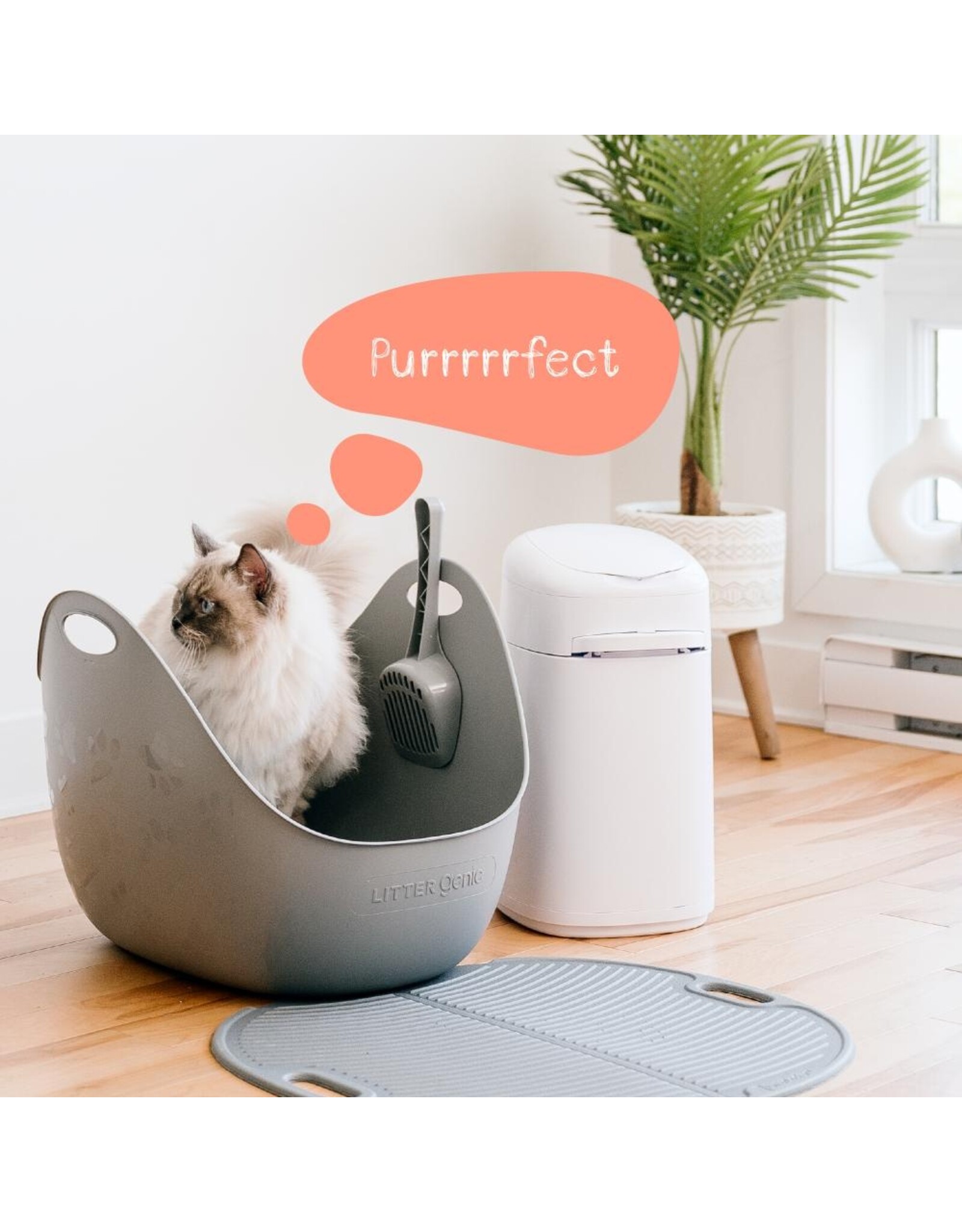 Cat Litter Box With Scoop - Grey