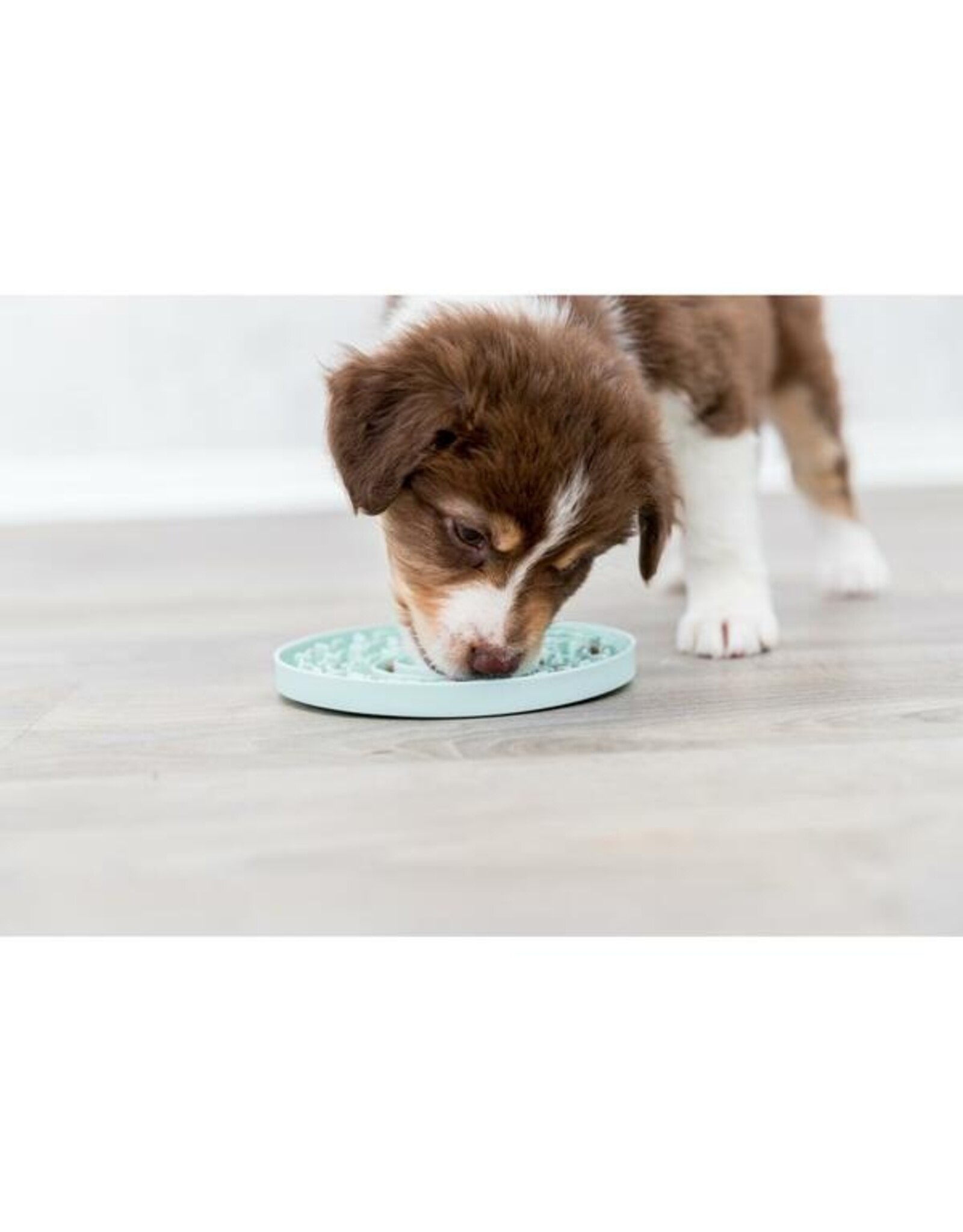 Lick Mat Junior Mint 6"