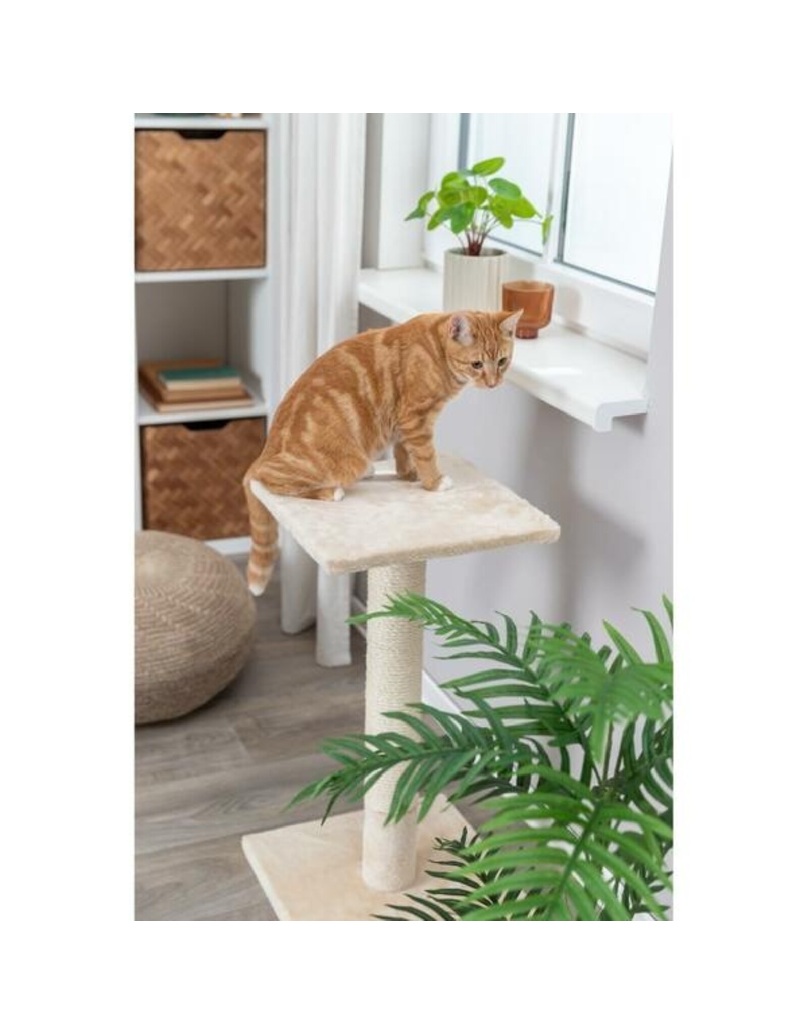 Scratching Post Baena Beige 27" | Cat