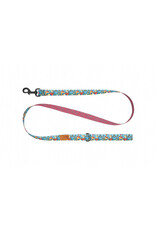RC Pets Eco Leash