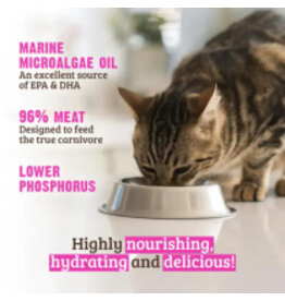 Rawz Cat Low PHOSPHOROUS Beef Pate 155g