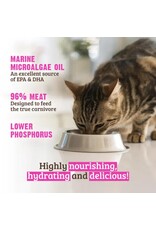 Rawz Cat Low PHOSPHOROUS Tuna & Salmon 155g