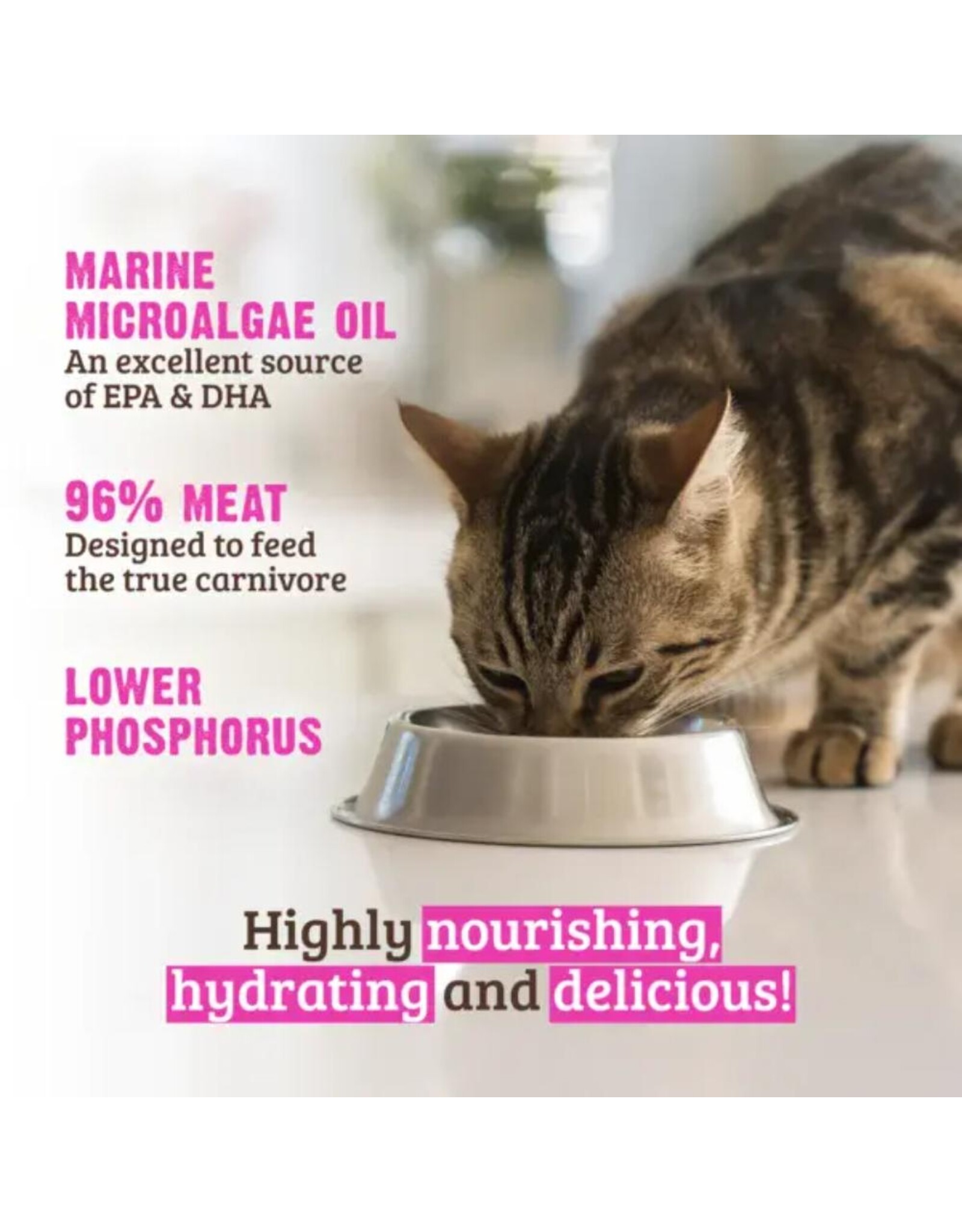 Rawz Cat Low PHOSPHOROUS Turkey 155g