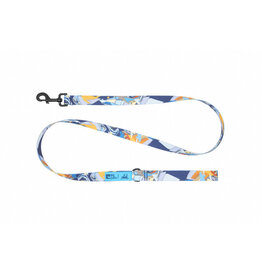 RC Pets Artist Series Leash