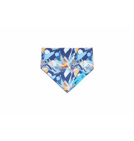 RC Pets Artist Series Bandana
