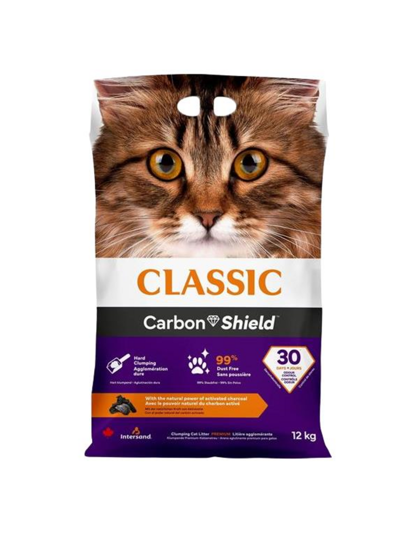 Intersand ODOURLOCK Cat Litter