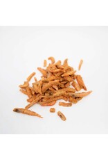 Ogopogo Pet Co. Freeze-Dried Antarctic Shrimp 40g