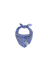 RC Pets Zephyr Cooling Bandana