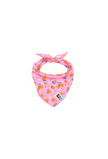 RC Pets Zephyr Cooling Bandana