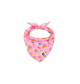 RC Pets Zephyr Cooling Bandana