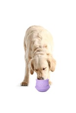 PetZee Interactive Treat Toy