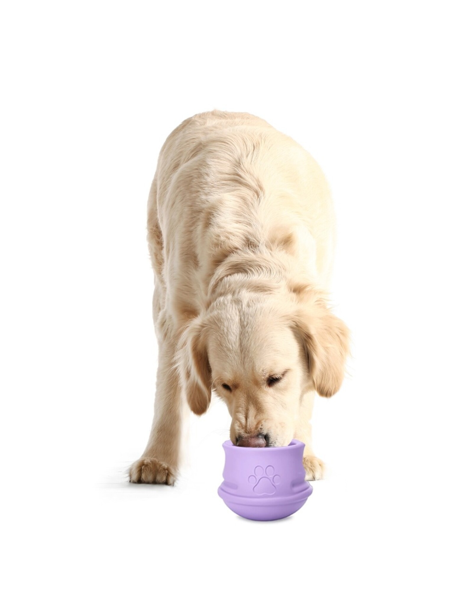 PetZee Interactive Treat Toy