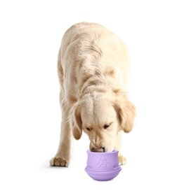 PetZee Interactive Treat Toy