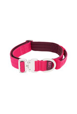 RC Pets Stratus Collar