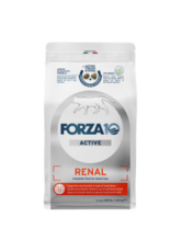 Forza10 Active Cat