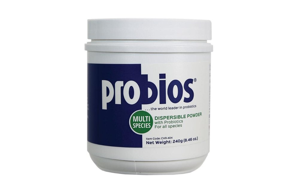 Probios Probiotic Powder