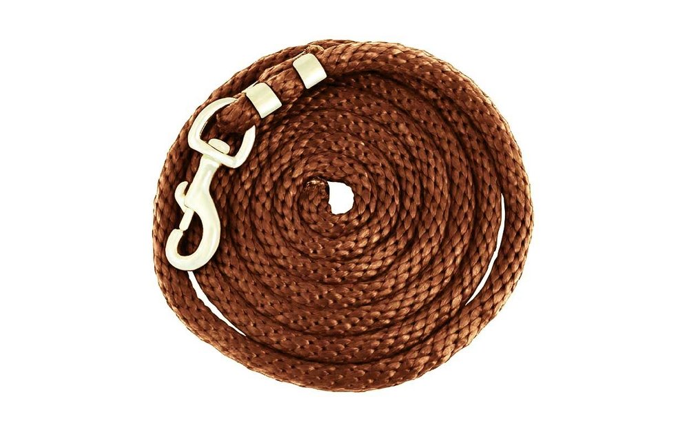 Poly Lead Rope with Brass Swivel Snap