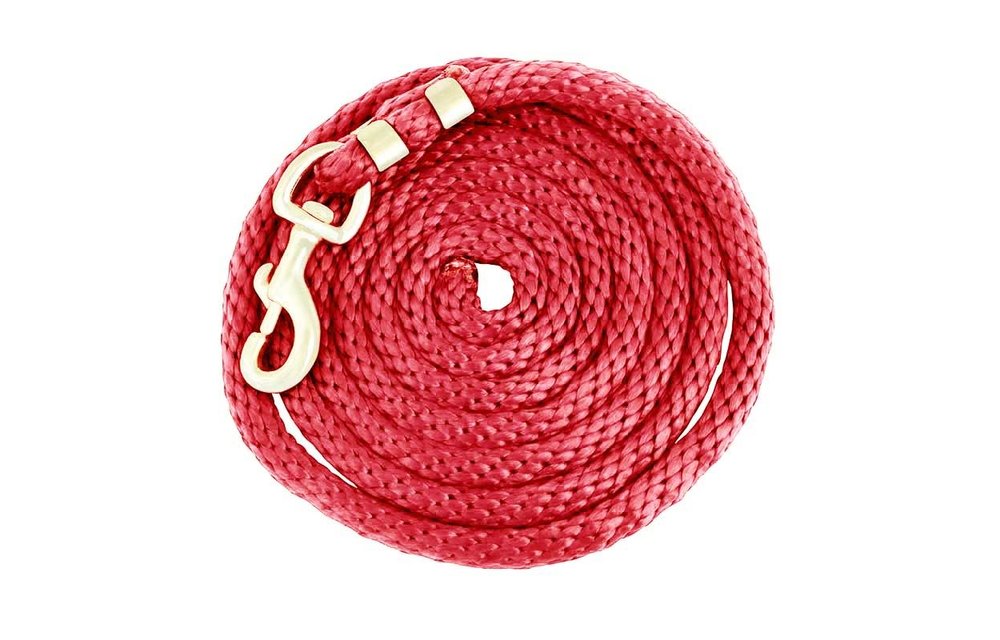 Poly Lead Rope with Brass Swivel Snap