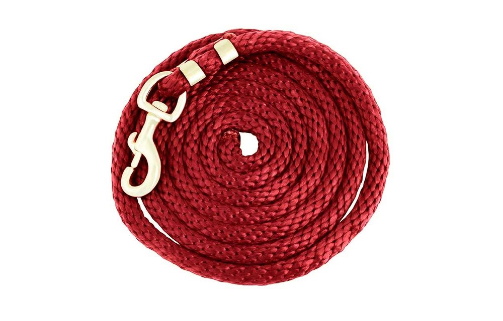 Poly Lead Rope with Brass Swivel Snap