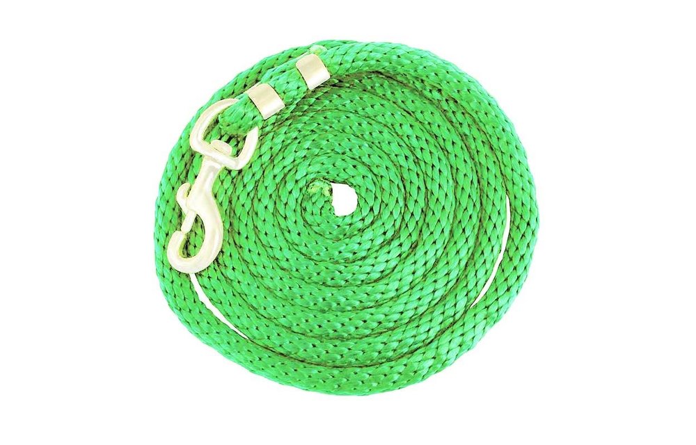 Poly Lead Rope with Brass Swivel Snap