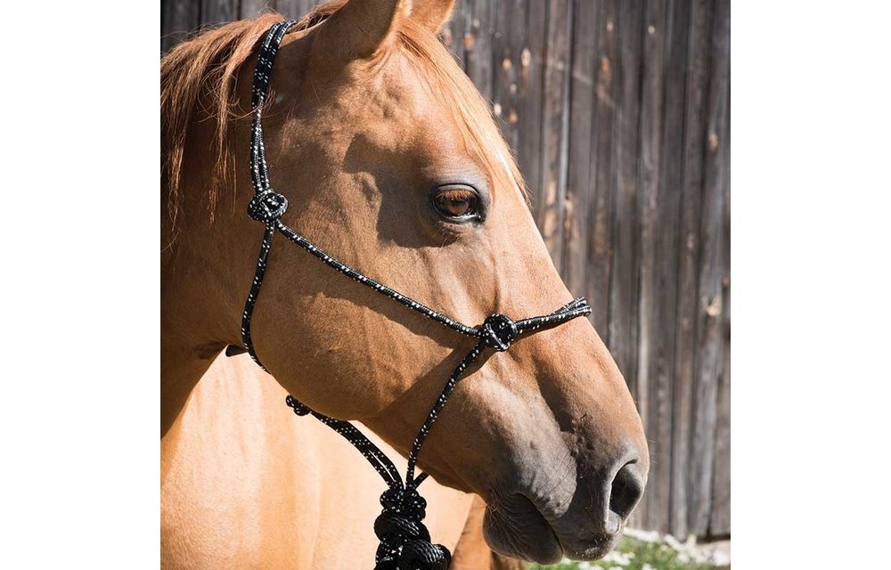 Mountain Rope Halter w/Lead