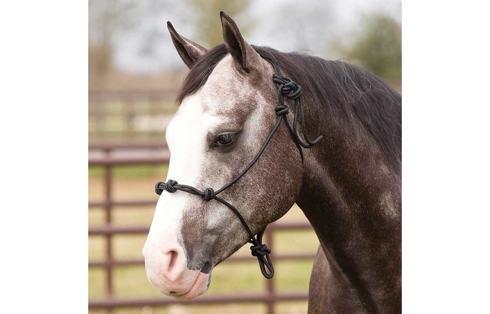 Training Rope Halter Black