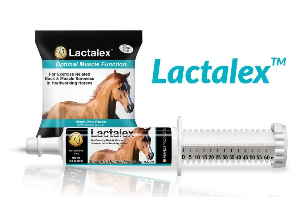 Perfect Prep EQ Lactalex