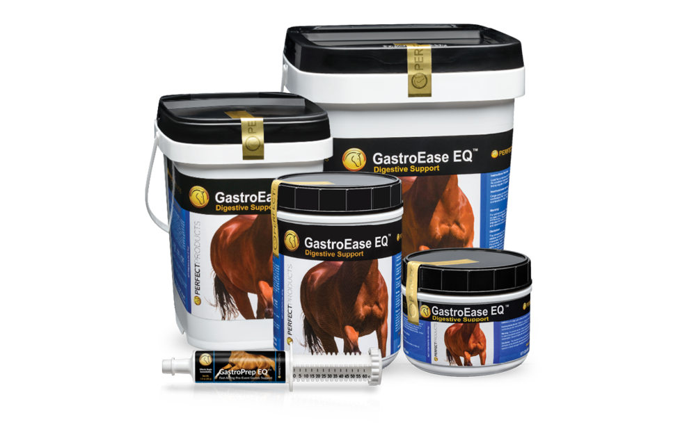 Perfect Products Gastro Ease EQ Powder
