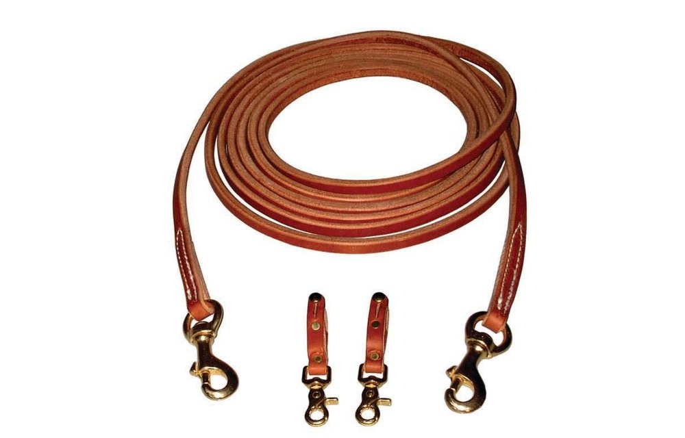 Draw Reins