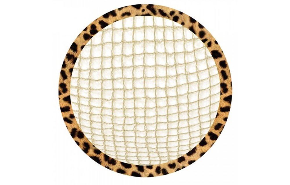 RWR Ultra Sheer Bun Net Kit