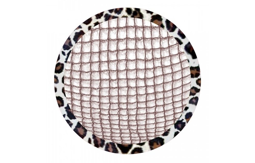 RWR Ultra Sheer Bun Net Kit